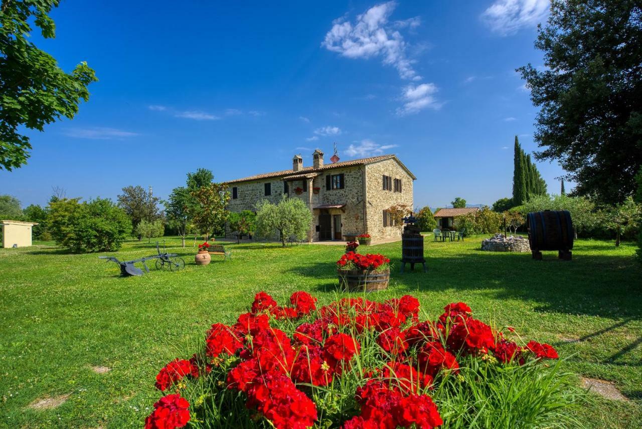 Agriturismo Le Terre del Casale Asís Exterior foto